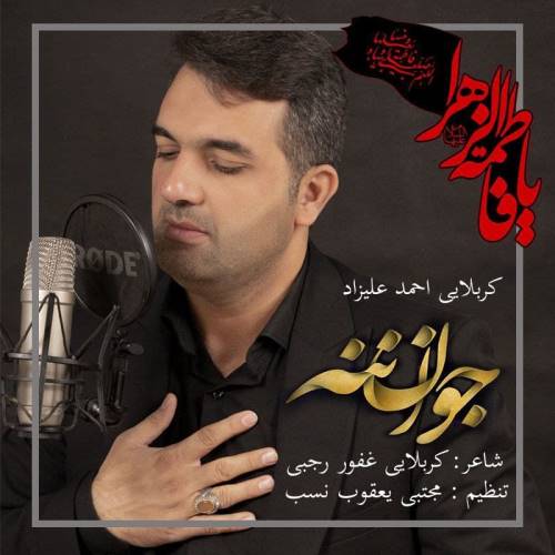 احمد علیزاد جوان ننه